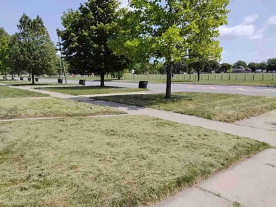 Lawn care service in Detroit, 48205