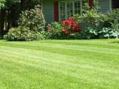 Lawn care service in , 