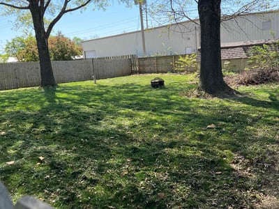 Lawn care service in Blue Springs, 64015