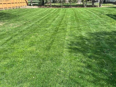 Lawn care service in Peoria, 61614
