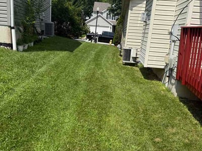 Lawn care service in Cincinnati, 45238