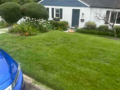 Lawn care service in Towson, 21204