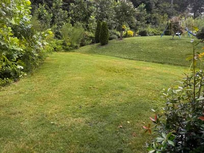 Lawn care service in Statesville, 28625