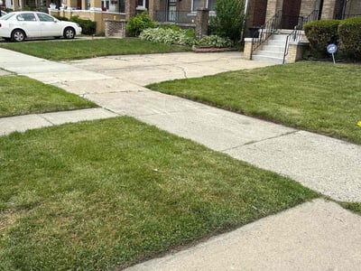 Lawn care service in Detroit, 48206