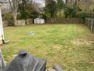 Lawn care service in Versailles, 40383