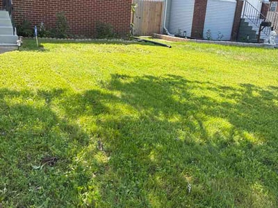 Lawn care service in Lansing, 60438