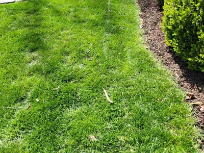 Lawn care service in Ballwin, 63011