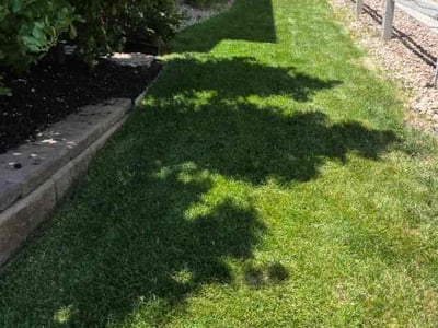 Lawn care service in Parker, 80134