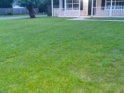 Lawn care service in Savannah, 31410