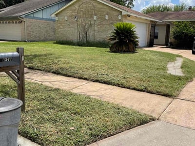 Lawn care service in Houston, 77065