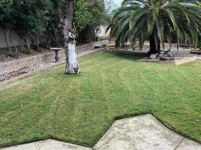 Lawn care service in Carmichael, 95608