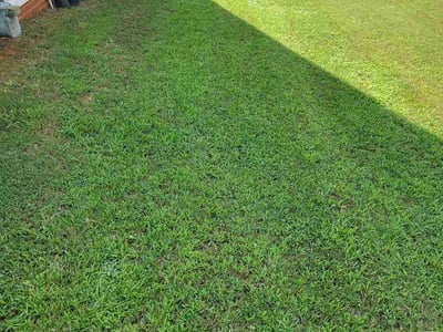 Lawn care service in Simpsonville, 29680