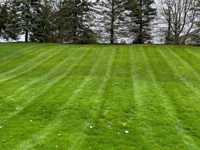 Lawn care service in Caledonia, 49316