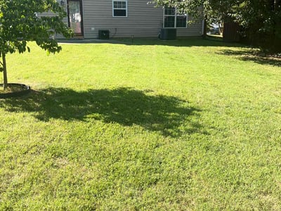 Lawn care service in Hampton, 23666