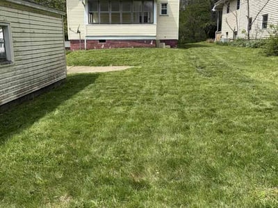 Lawn care service in Struthers, 44471