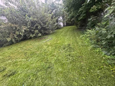 Lawn care service in Newark, 07103