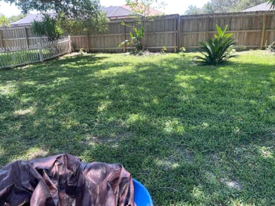 Lawn care service in Lakeland, 33811