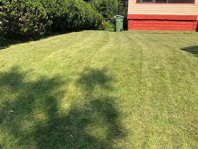 Lawn care service in Baltimore, 21216
