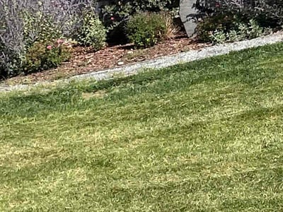 Lawn care service in Colorado Springs, 80924