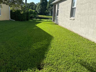 Lawn care service in Orlando, 32828