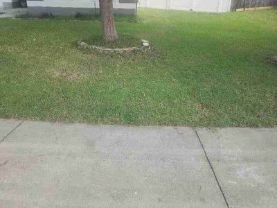 Lawn care service in Ocala, 34480