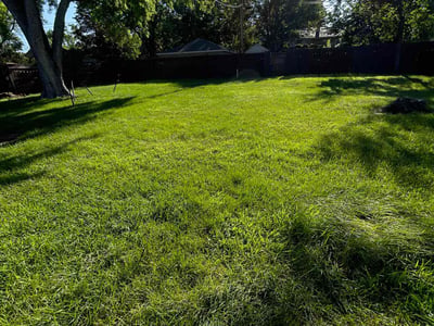 Lawn care service in Minneapolis, 55421