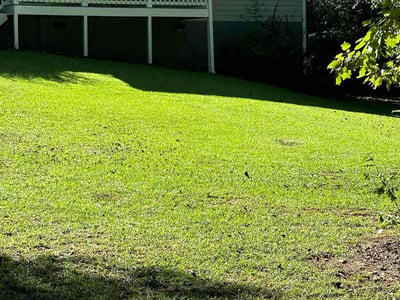 Lawn care service in Griffin, 30223