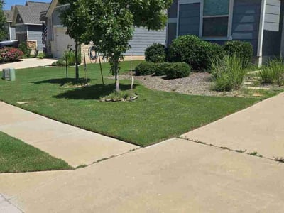 Lawn care service in Leander, 78641