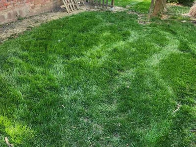 Lawn care service in Richmond Heights, 44143