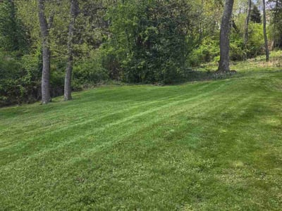 Lawn care service in Pittsburgh, 15215