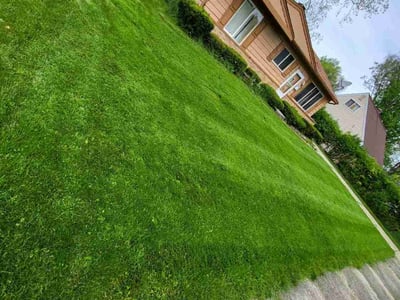 Lawn care service in Lansing, 48911