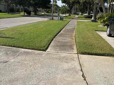 Lawn care service in Clearwater, 33764
