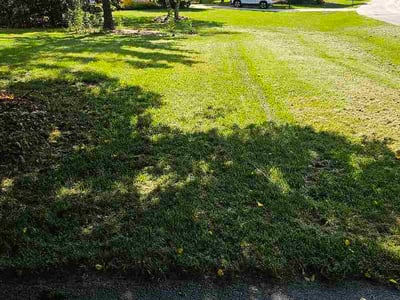 Lawn care service in Brookfield, 53005