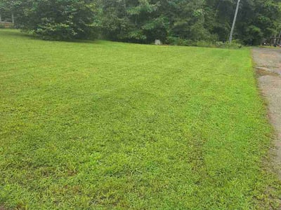 Lawn care service in Collettsville, 28611