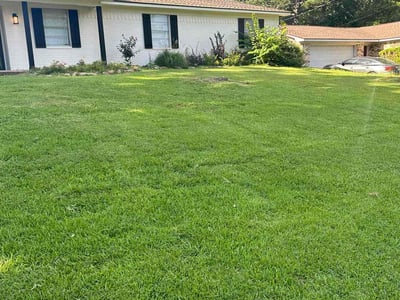 Lawn care service in Longview, 75605