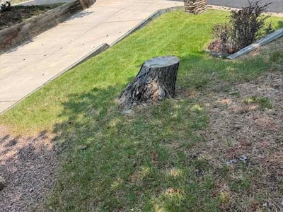 Lawn care service in Colorado Springs, 80919