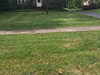 Lawn care service in Youngstown, 44512