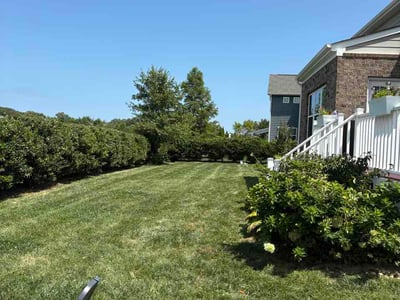 Lawn care service in Virginia Beach, 23456
