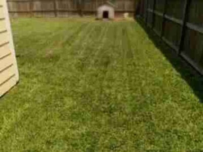 Lawn care service in Corpus Christi, 78414