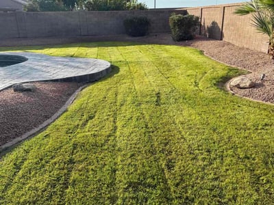 Lawn care service in Chandler, 85226