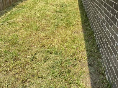 Lawn care service in Flint, 75762