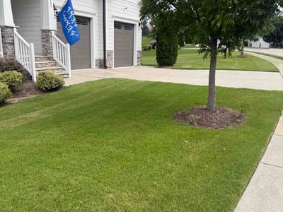 Lawn care service in Knightdale, 27545