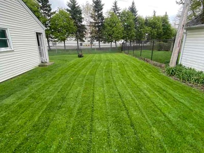 Lawn care service in Cheektowaga, 14225