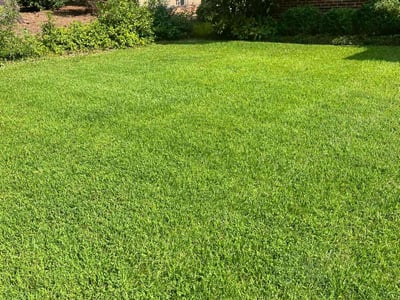 Lawn care service in Atlanta, 30331