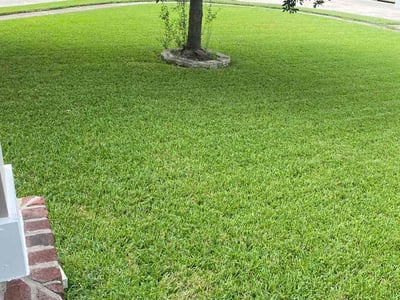 Lawn care service in Pearland, 77581