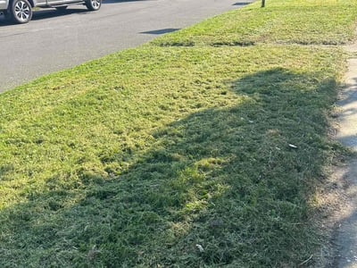 Lawn care service in Rochester, 14617