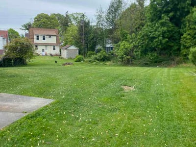 Lawn care service in Baltimore, 21214
