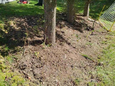 Lawn care service in Murrysville, 15668