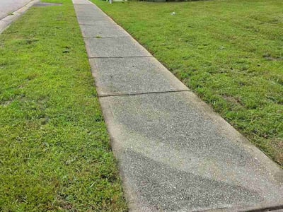 Lawn care service in Covington, 30014
