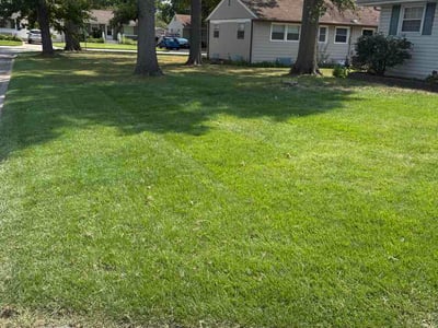 Lawn care service in Florissant, 63031
